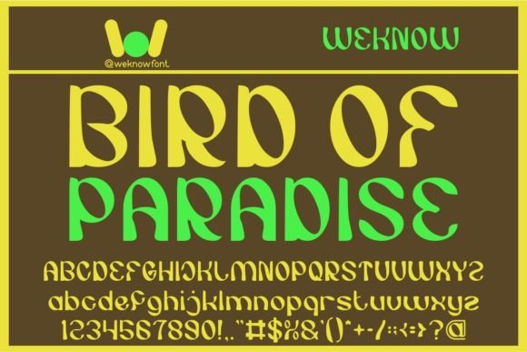 Bird of Paradise: A Display Font with Tropical Flair